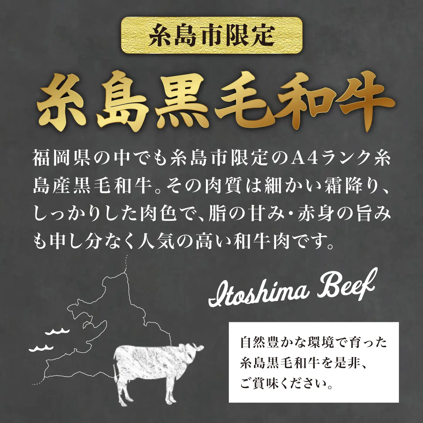 【 極厚 シャトーブリアン 】A4ランク 糸島黒毛和牛 ヒレ肉 約180g×6枚 糸島市 / 糸島ミートデリ工房[ACA388]