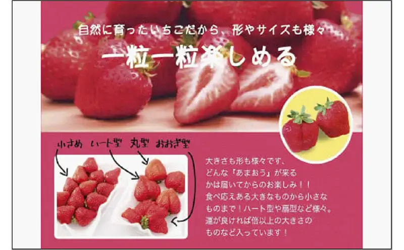 いちごの王様　福岡名産あまおう 約150g×8パック　計約1.2kg いちご あまおう