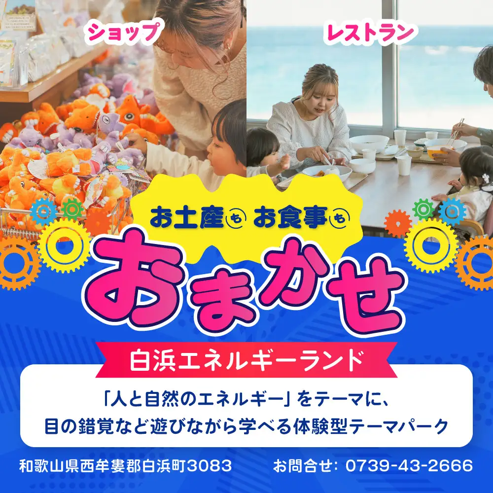 白浜エネルギーランド 大人（高校生以上）入館券 1名
