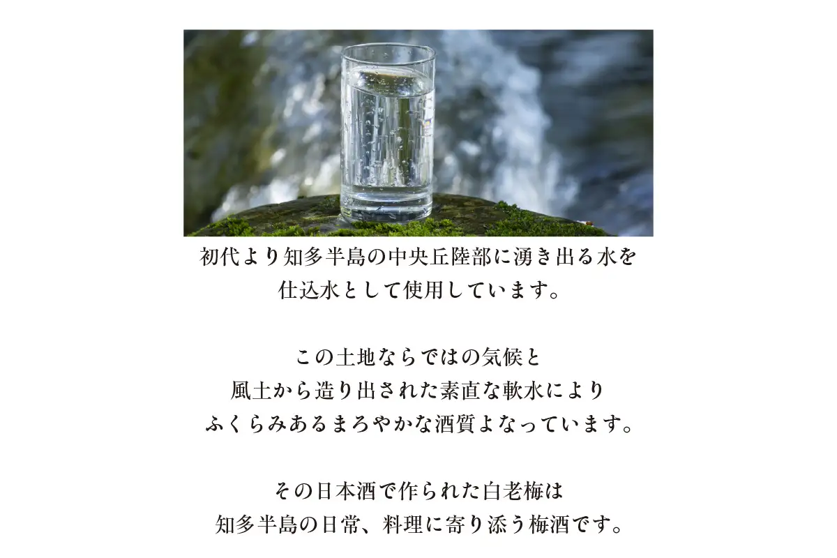 知多の梅酒「白老梅」純米吟醸　2本セット