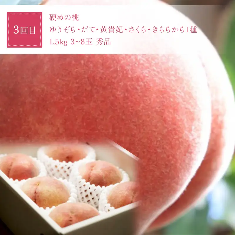 【定期便4回】 桃だらけ便 FSY-2729