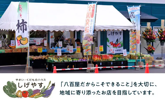【2回定期便】佐賀県産イチゴ「さがほのか」約440g（220g×2パック） /有限会社しげやす[UEQ007]