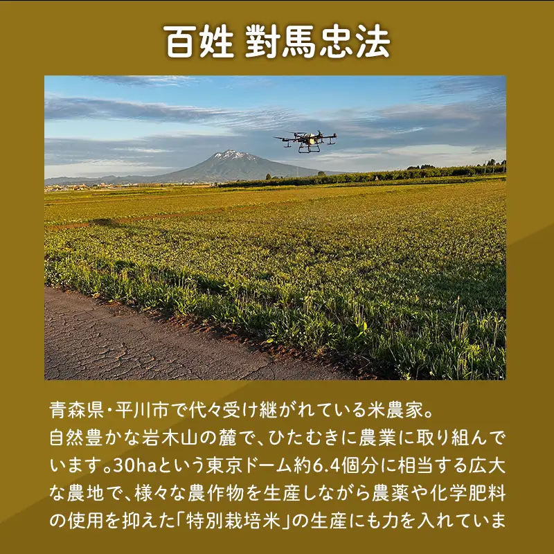 ≪令和8年産 先行予約≫まっしぐら10kg(玄米)【hi-0062-014-2】
