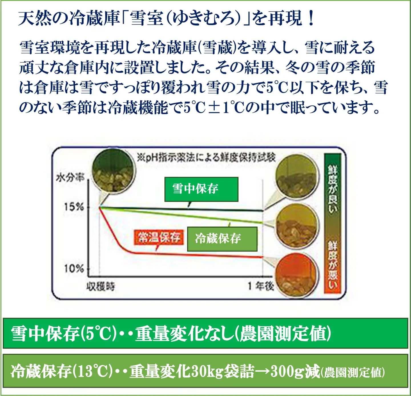 令和8年産新米予約定期便【天水棚田米】雪蔵熟成塩沢産コシヒカリ精米5kg6回「とやの里山継承プロジェクト」【定期便 銘柄米 ブランド米 精米 こしひかり コシヒカリ 魚沼産 新潟米】【2026年10月下旬より順次発送予定】