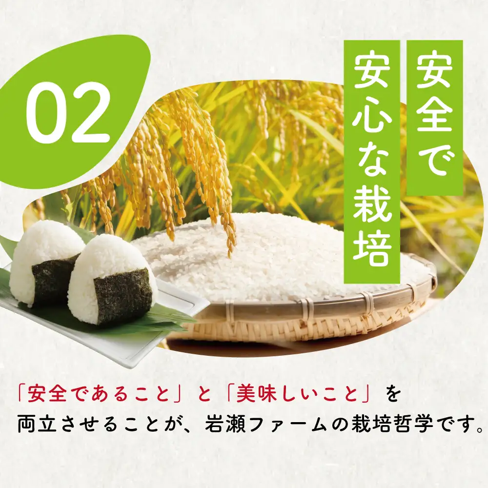 こしひかり 5kg コシヒカリ 8000円 令和7年産 [IWS004]