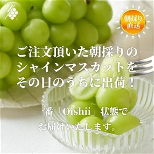 【2027年発送 先行受付】 シャインマスカット 2～3房 計1kg 訳あり ご家庭用【配送不可地域：離島・沖縄県】【1729248】