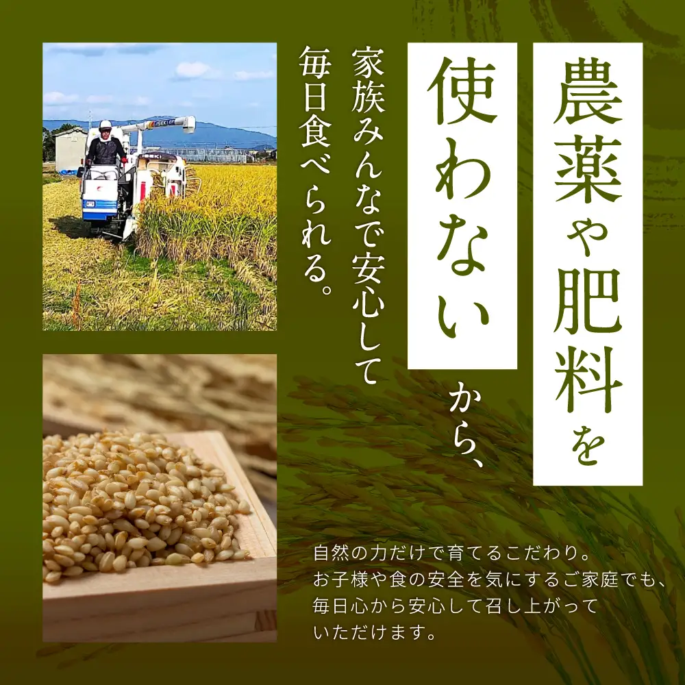 栽培期間中農薬・肥料不使用で作った朝日米 精米5kg 粟屋農場 山口県 防府市 B-B04 精米 朝日米 5kg 栽培期間中農薬不使用 肥料不使用 無農薬 自然栽培 在来種 希少米 佐波川