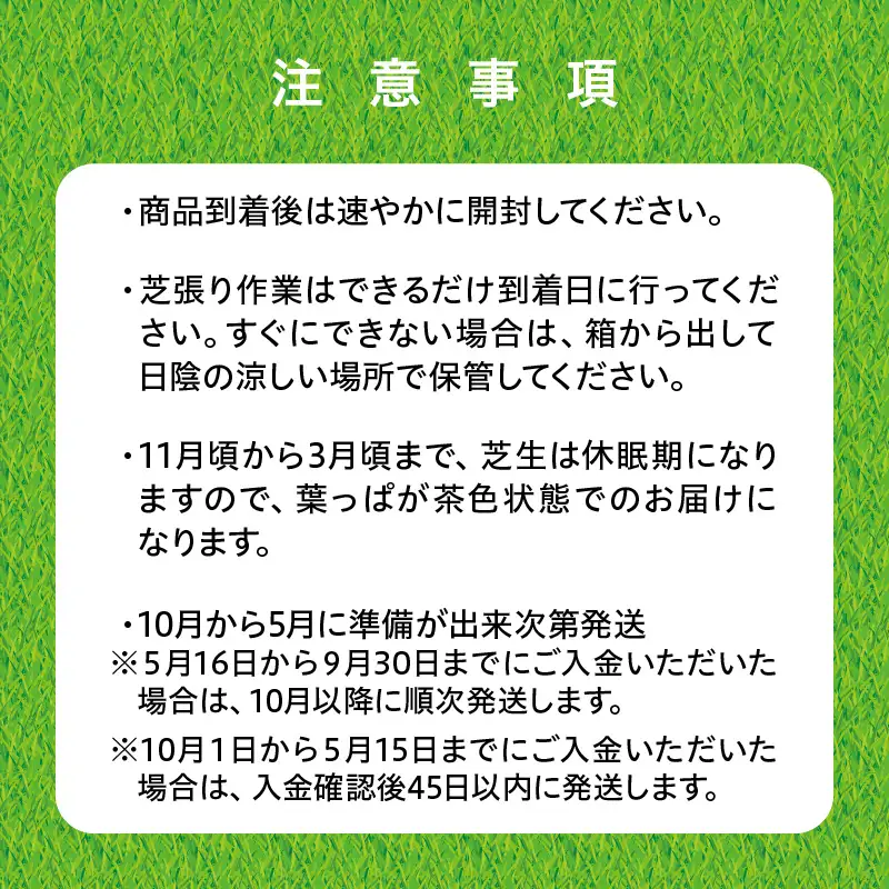 【10月から5月に発送】 野芝（10平方メートル） KN177-005-02 庭 芝生