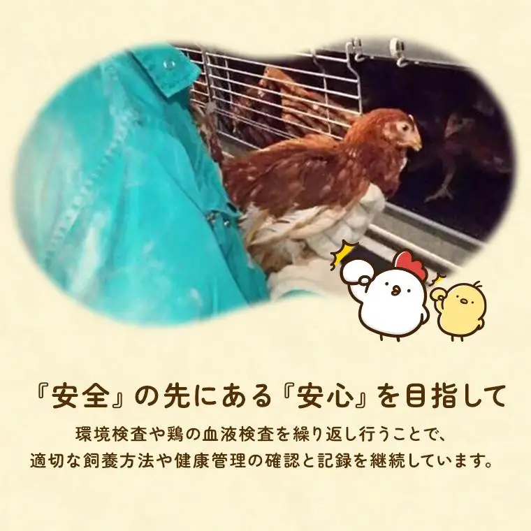 【定期便3回】九十九里ファームこだわりたまご贈答用 180個 ～あおい海・みどりの里～《白玉》 たまご 卵 玉子 タマゴ 白玉 卵かけご飯 新鮮 旨み 甘み 贈答用 贈答 ギフト 贈り物 千葉県 匝瑳市