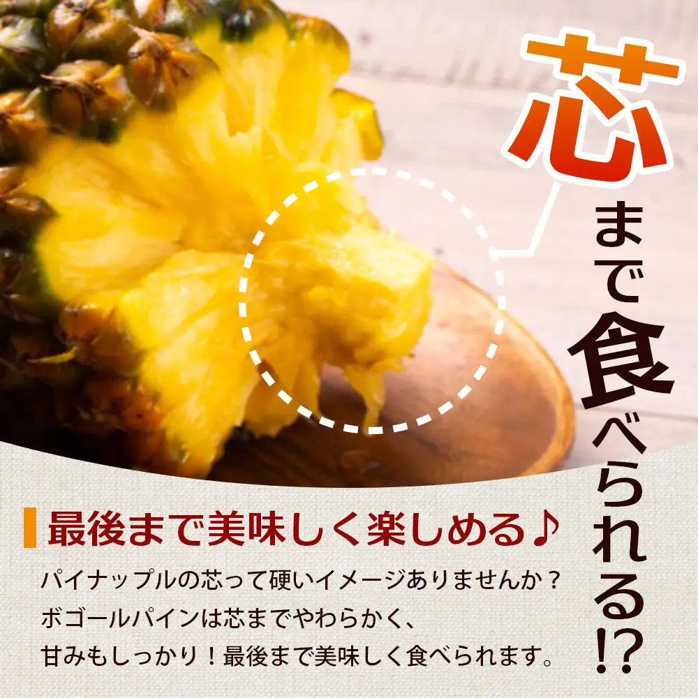 《先行予約》《2027年5月より順次発送》 与那国島産 ボゴールパイン 2～3玉セット 約2kg HN-1 | 沖縄県 与那国町 与那国島 パイン パイナップル ボゴール スナックパイン