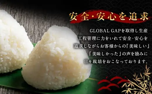 【新米受付・令和8年産米】 【定期便 6ヶ月】新潟県村上市岩船産コシヒカリ  精米6kg（2kg×3個セット）×6ヶ月 1050012N
