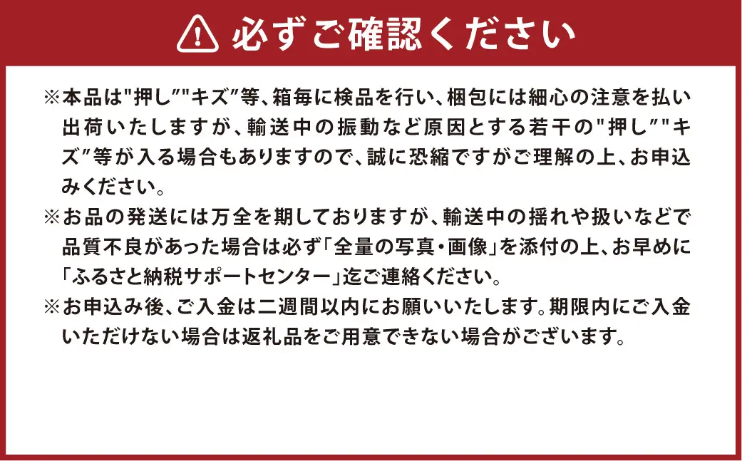 先行予約岡山県産ニューピオーネ 約500g × 2房 計約1kg 【 2026年8月下旬～10月下旬まで順次発送予定 】 ぶどう ブドウ 葡萄 フルーツ くだもの 果物 果実 大粒 果汁 国産 岡山県産 ニューピオーネ 種無し