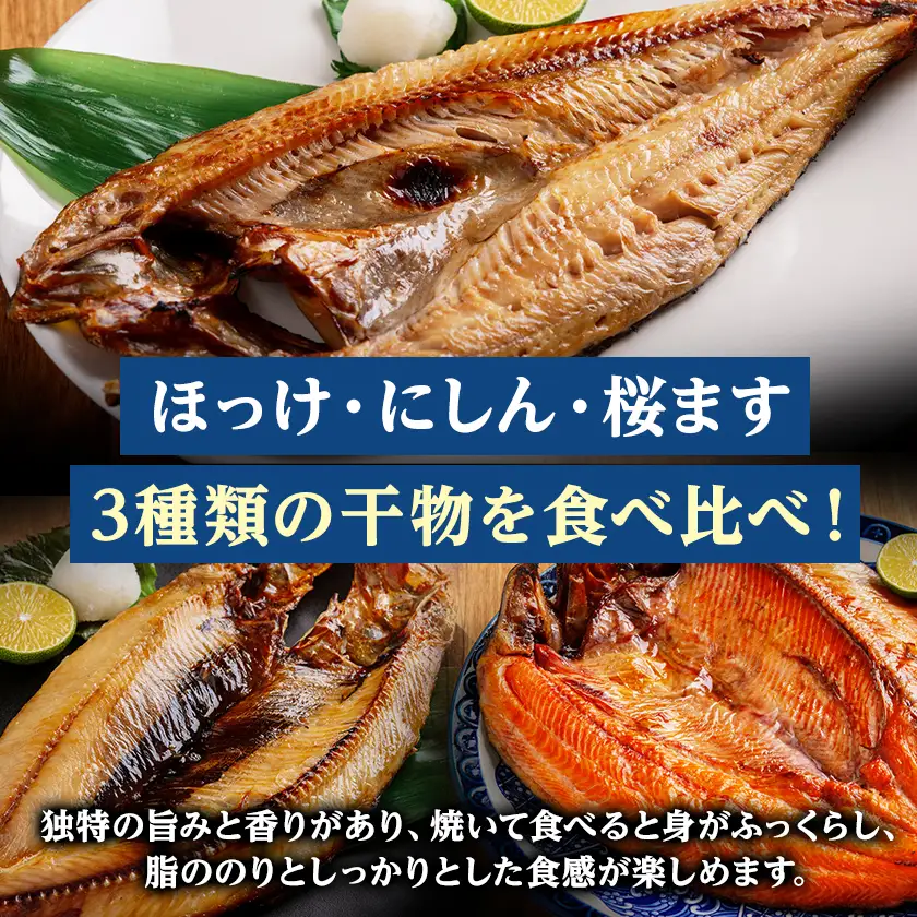 北の海一夜干しセットA(ほっけ2枚・にしん2枚・桜ます1枚)【配送不可地域：離島】【1692850】