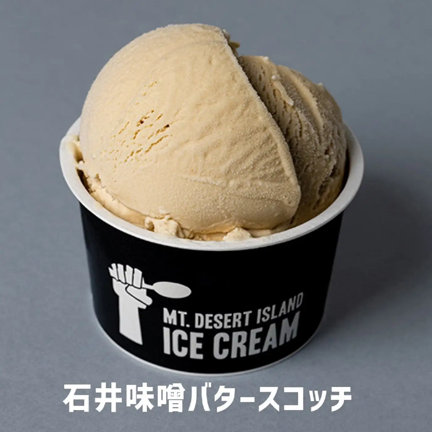 MDI 信州クラフトアイスクリーム１２個セット