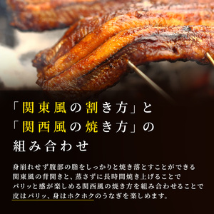 うなぎ 蒲焼 1尾 鰻 冷凍 国産 丑の日 うなぎ