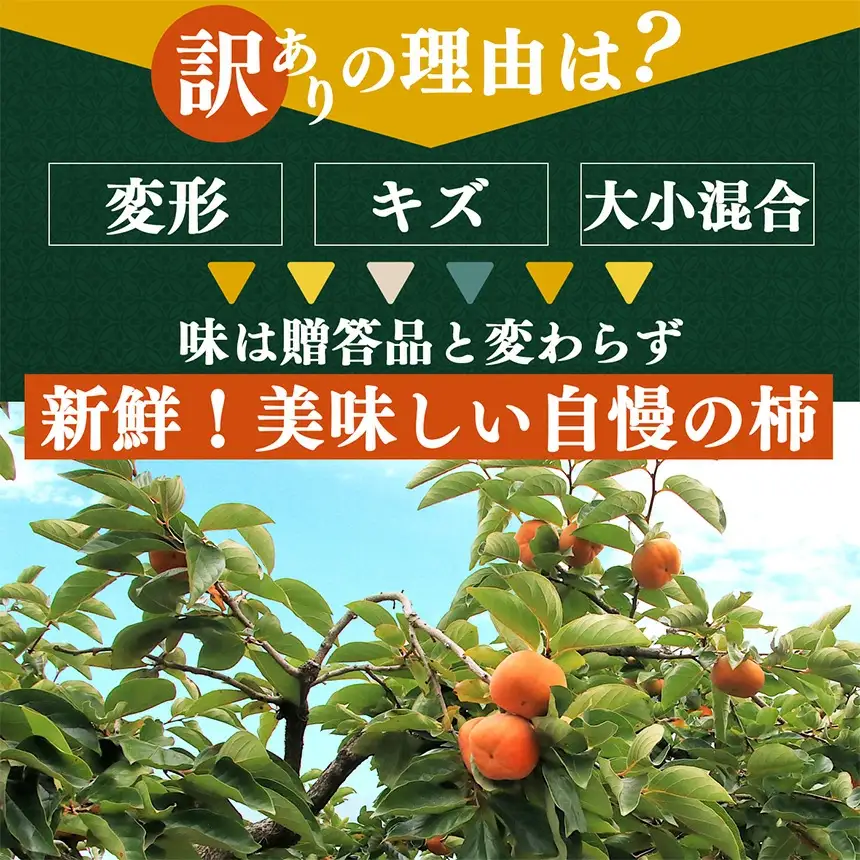 富有柿 わけあり！約1.5㎏ | 大容量 家庭用 奈良県 五條市