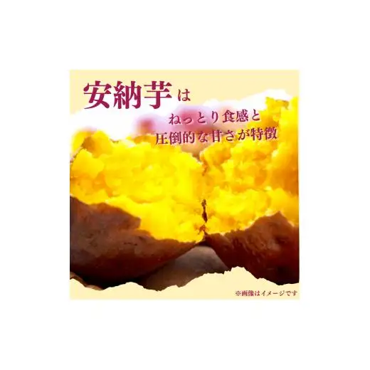 『えがお畑』で採れた安納芋 2.5kg