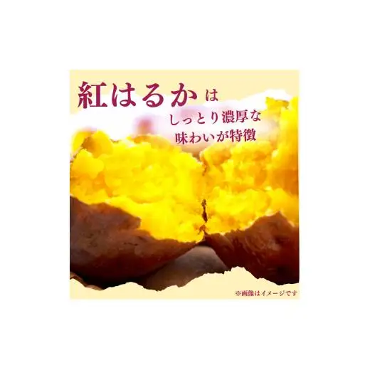 『えがお畑』で採れた紅はるか 2.5kg