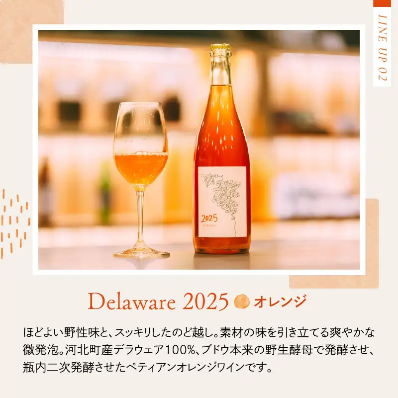 ワイン 2025 赤オレンジ 2本飲み比べセット 各750ml ワイン ka019-316j-2025