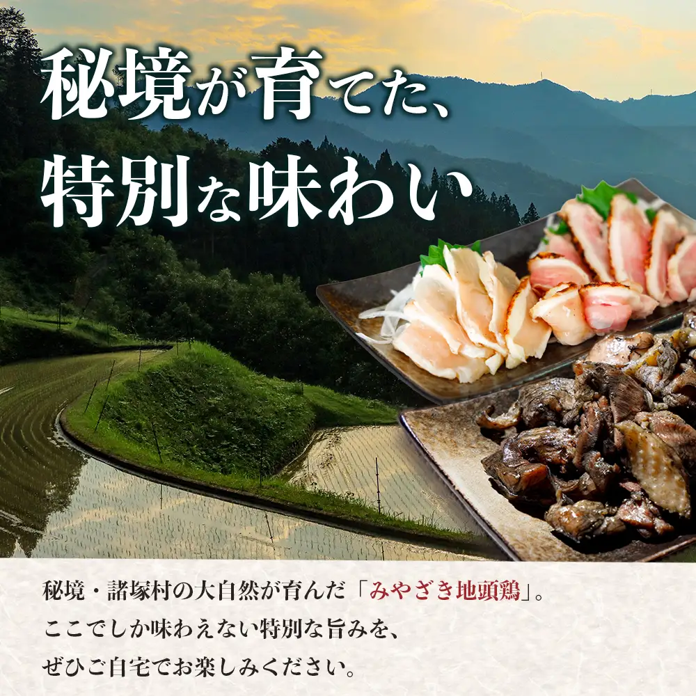 みやざき地頭鶏 炭火焼3P・たたき2P セット タレ付き 冷凍｜鶏肉 地鶏 炭火焼 鶏たたき 備長炭 焼き鳥 晩酌 おかず 惣菜 ムネ肉 モモ肉 郷土料理 じとっこ 興洋開発株式会社 宮崎県 諸塚村 KY-03