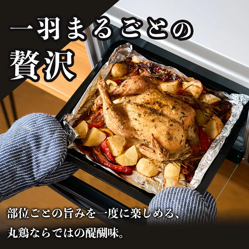 みやざき地頭鶏 1羽 中抜き 丸鶏 セット 冷凍｜鶏肉 地鶏 丸鶏 1羽まるごと ロースト チキン じとっこ 真空パック 興洋開発株式会社 宮崎県 諸塚村 KY-16