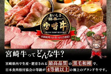 宮崎牛 ロース ステーキ 約500g（2枚入）×2P 計1kg（4枚）冷凍｜国産 牛肉 4等級以上 黒毛和牛 肉 お肉 ブランド牛 鉄板焼き 高級 株式会社ミヤチク 宮崎県 諸塚村 MY-05