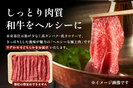 宮崎牛 赤身・霜降り スライス セット計1kg（約500g×2P）［ウデまたはモモをお届け］冷凍｜国産 牛肉 4等級以上 黒毛和牛 肉 お肉 ブランド牛 高級 株式会社ミヤチク 宮崎県 諸塚村 MY-09