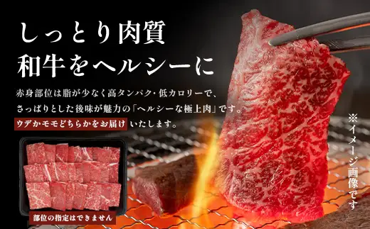 宮崎牛 赤身・霜降り 焼肉セット約500g×2P 計1kg［ウデまたはモモをお届け］焼肉 冷凍｜国産 牛肉 4等級以上 黒毛和牛 肉 お肉 ブランド牛 高級 株式会社ミヤチク 宮崎県 諸塚村 MY-10