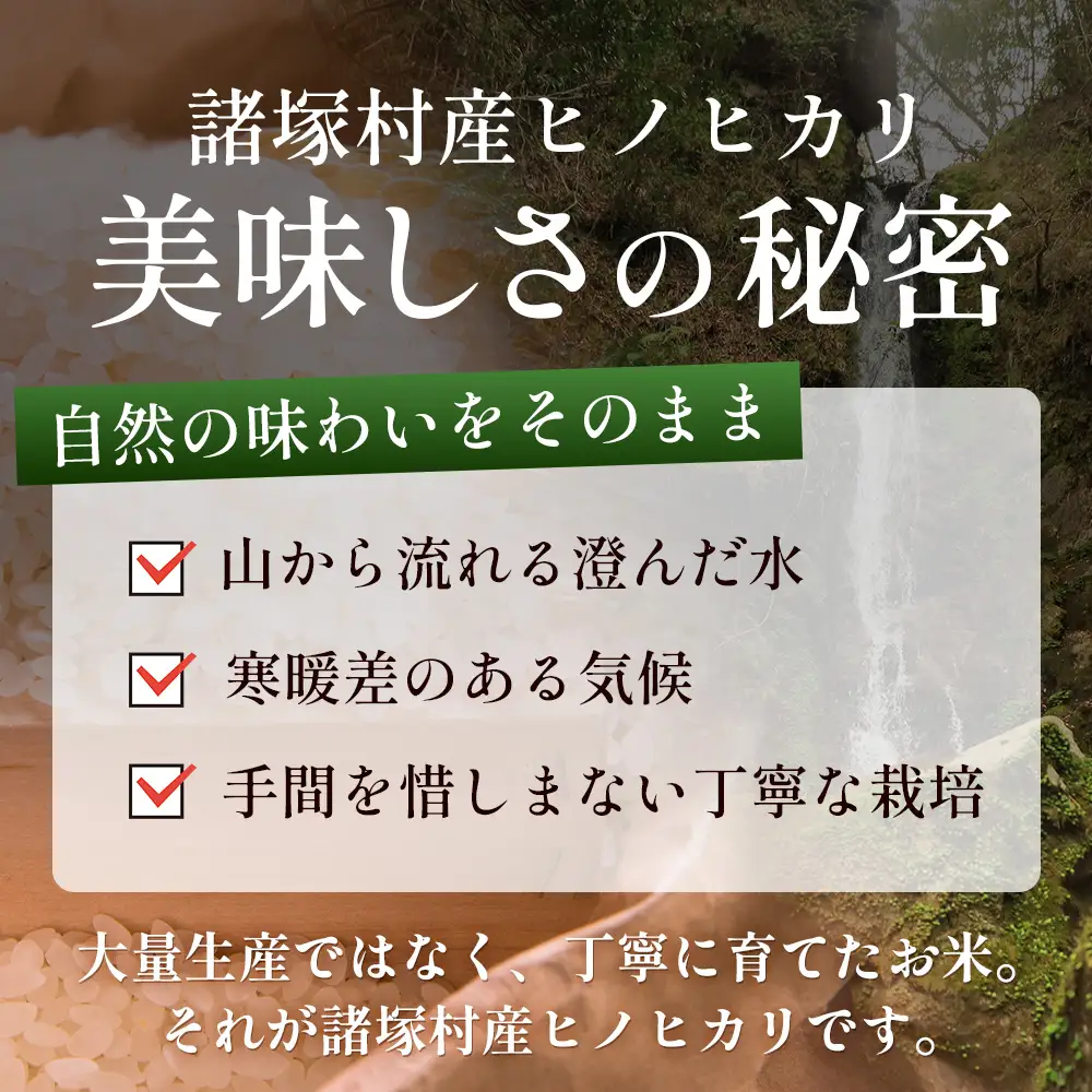 【先行予約】令和8年産 新米 ヒノヒカリ 5kg【2026年11月より順次発送】｜白米 米 棚田米 精米 ご飯 白ご飯 農事組合法人えしろ 宮崎県 諸塚村 ES-01