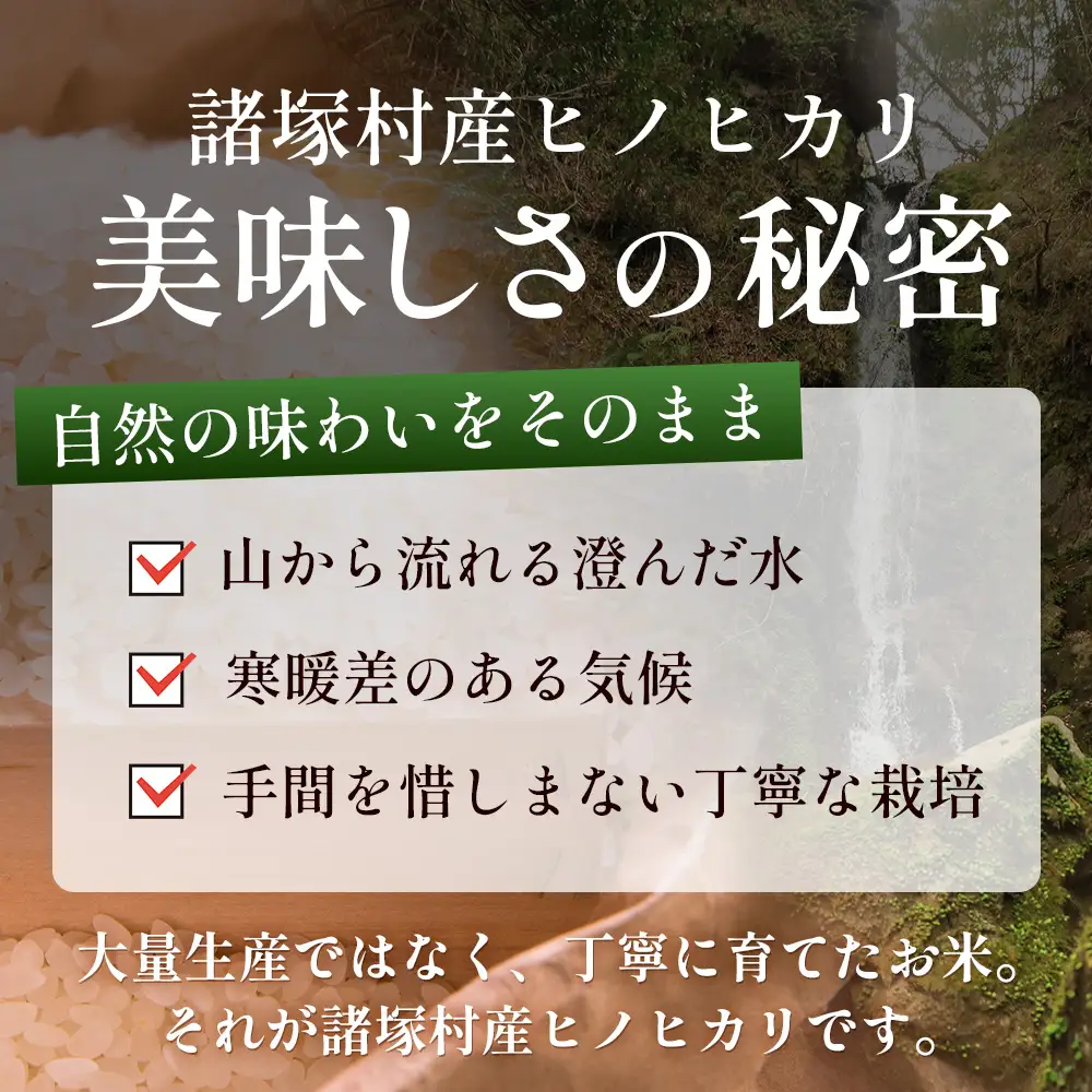 【先行予約】令和8年産 新米 ヒノヒカリ 5kg×2袋【2026年11月より順次発送】｜白米 米 棚田米 精米 10㎏ ご飯 白ご飯 農事組合法人えしろ 宮崎県 諸塚村 ES-02