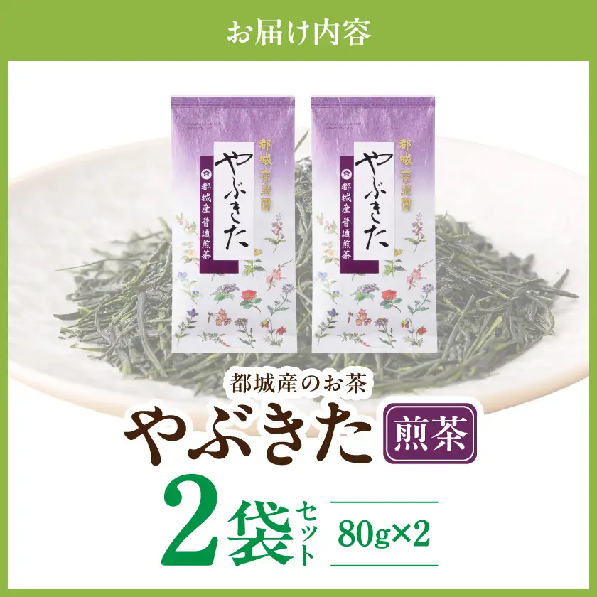 都城産のお茶「やぶきた」(煎茶)≪みやこんじょ快速便≫〔AA-C3-012-R〕_(都城市) 都城産 お茶 やぶきた 煎茶 茶葉 化粧箱 贈答品  茶圃斉光園 14日以内お届け
