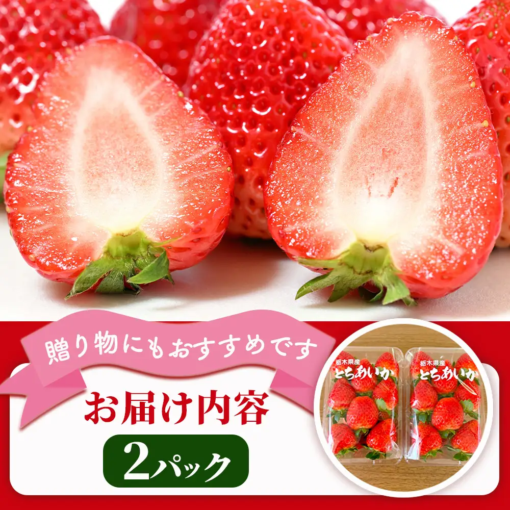 【先行予約】出会いの森いちご園 とちあいか （290g×2パック） | いちご イチゴ 苺 栃木県 果物 くだもの フルーツ とちあいか 新鮮 贈答 ギフト デザート スイーツ ※2026年12月～発送