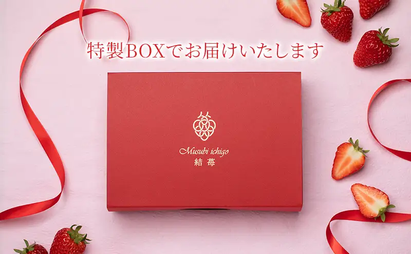 結苺（むすびいちご）約250g（6〜11粒） 特製BOX入り いちご イチゴ 苺 ストロベリー 果物 くだもの フルーツ ギフト プレゼント 贈り物 静岡 浜松市【配送不可：北海道・沖縄・離島】