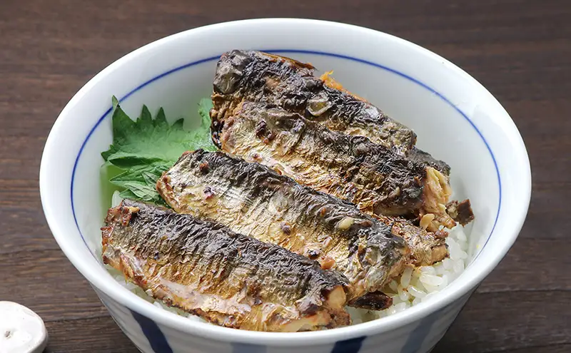 缶詰 銚子産 いわしのしおやき 非常食 缶詰【10缶】