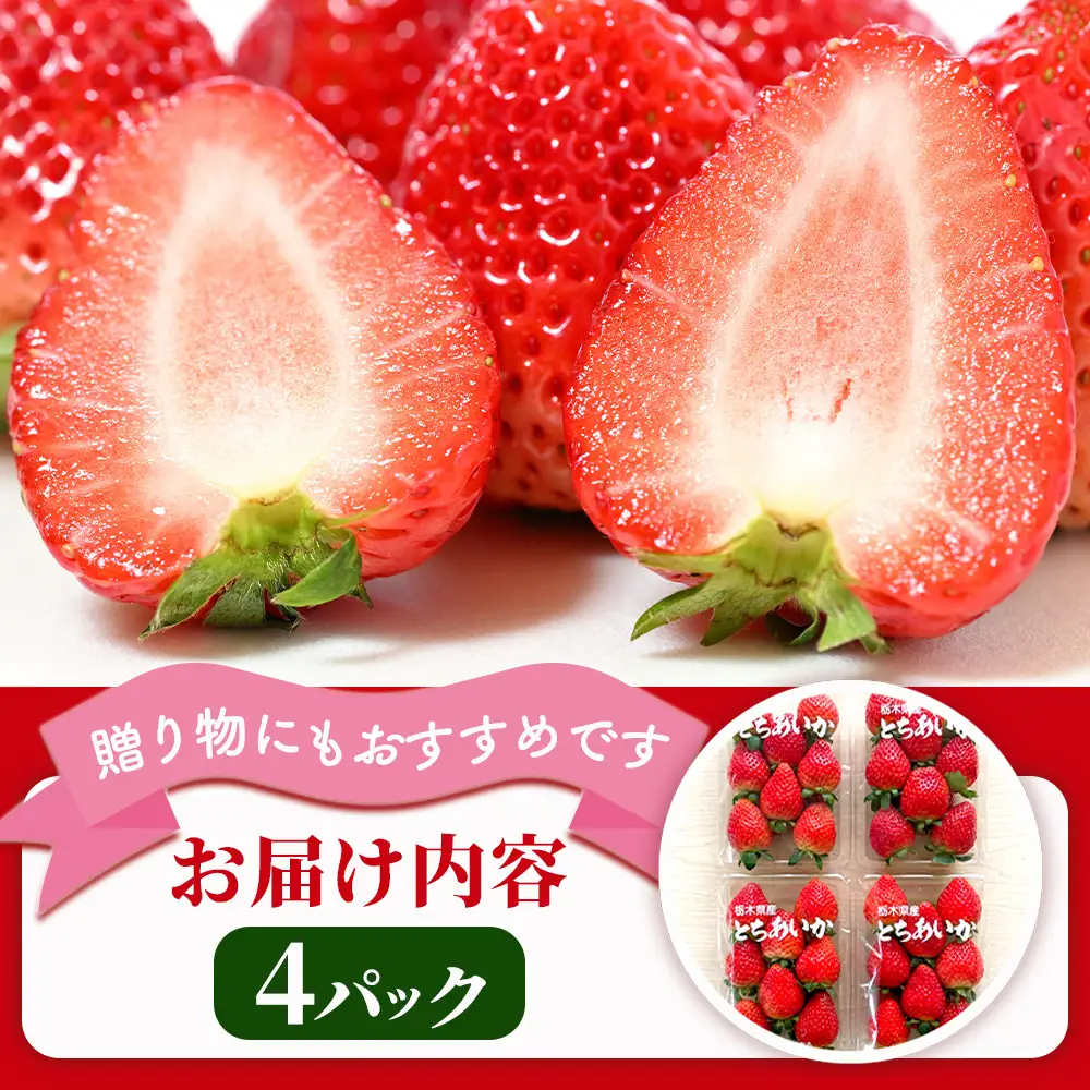 【先行予約】出会いの森いちご園 とちあいか （290g×4パック） | いちご イチゴ 苺 栃木県 果物 くだもの フルーツ とちあいか 新鮮 贈答 ギフト デザート スイーツ ※2026年12月～発送
