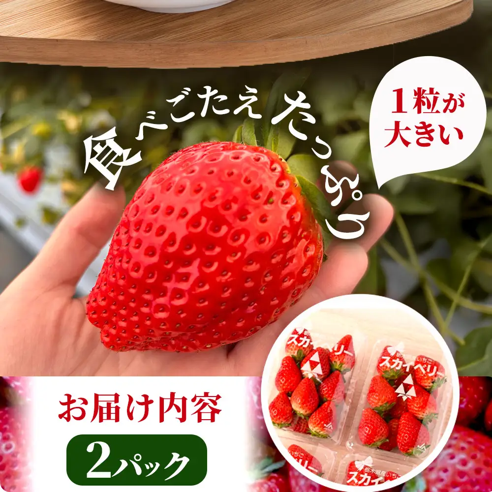 【先行予約】出会いの森いちご園 スカイベリー （290g×2パック） | いちご イチゴ 苺 栃木県 果物 くだもの フルーツ スカイベリー 新鮮 贈答 ギフト デザート スイーツ ※2026年12月～発送