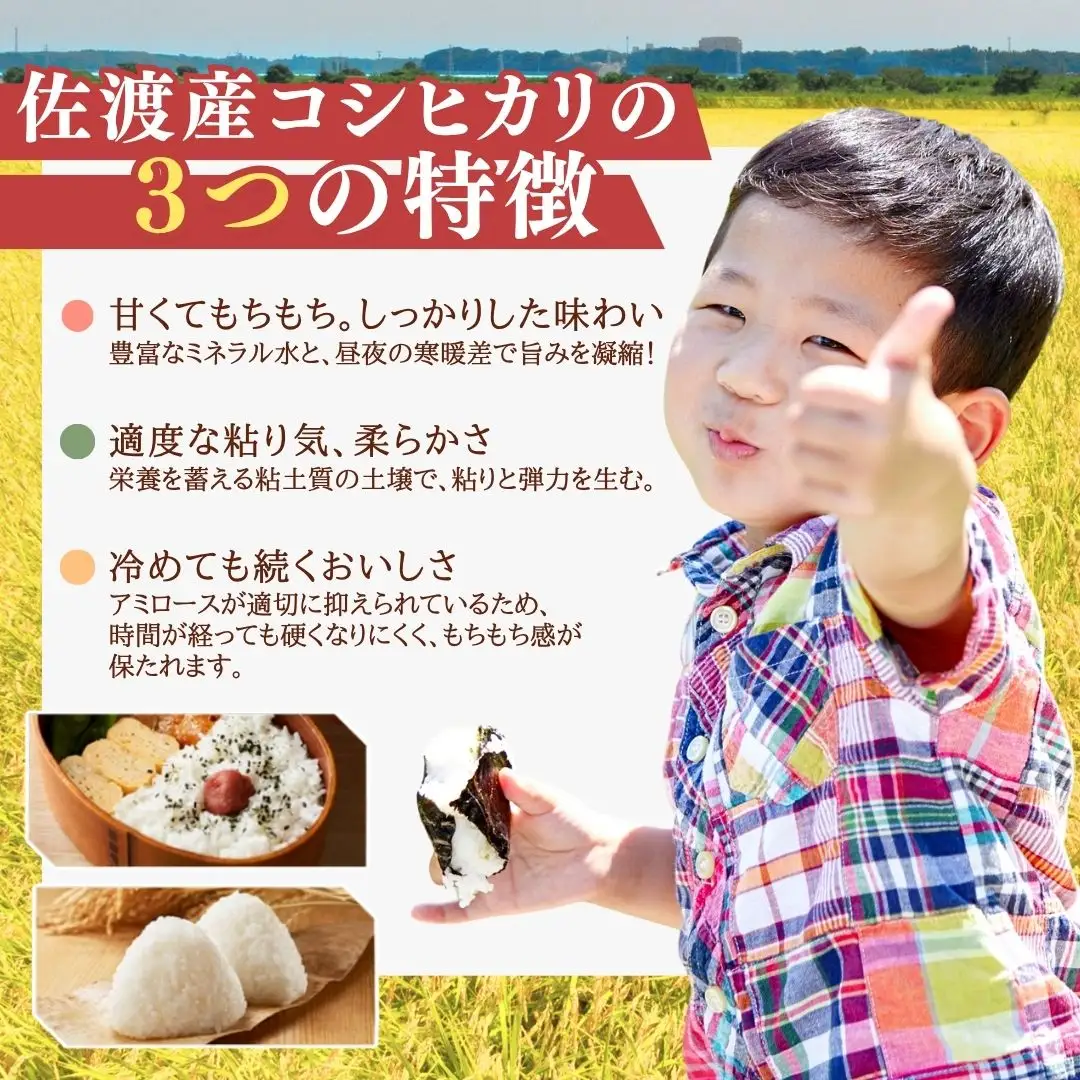 【先行予約 定期便 5kg 3回 コシヒカリ】白米 令和8年 | 新潟県 佐渡市 コシヒカリ