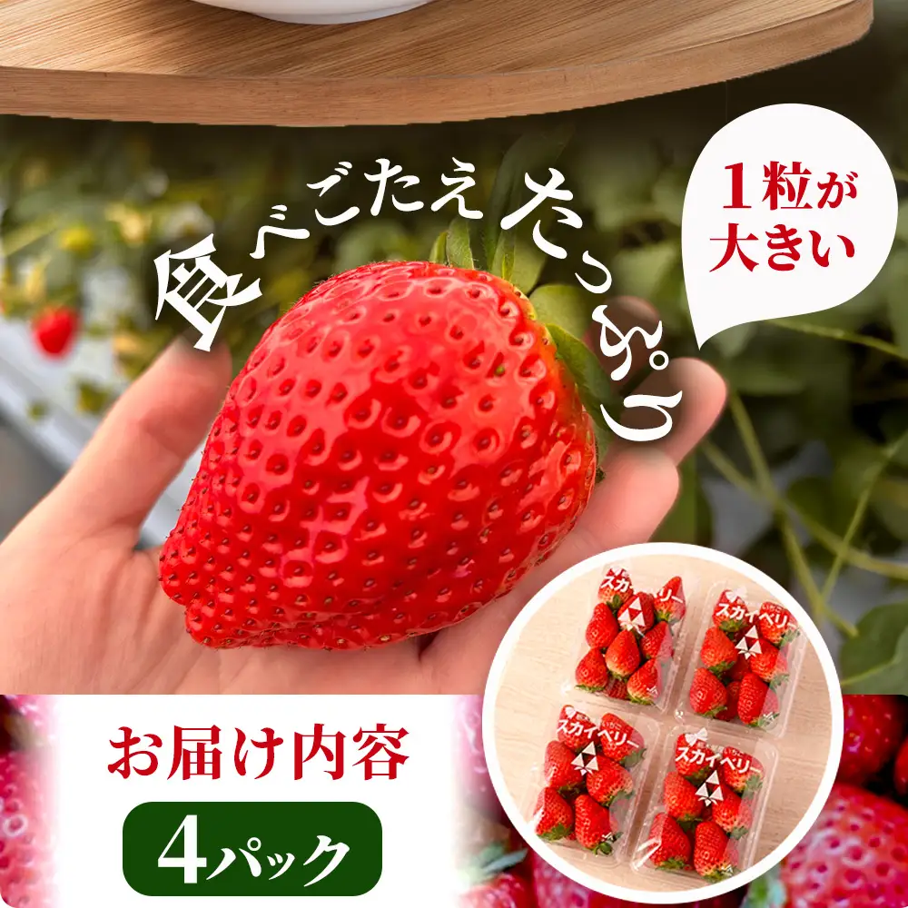 【先行予約】出会いの森いちご園 スカイベリー （290g×4パック） | いちご イチゴ 苺 栃木県 果物 くだもの フルーツ スカイベリー 新鮮 贈答 ギフト デザート スイーツ ※2026年12月～発送