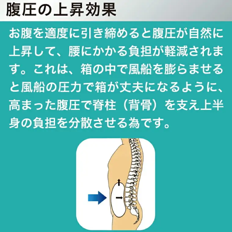 コルセット 中山式 標準タイプ コルセット 〈サイズ：S〉