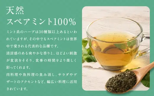 スペアミントティー （ 森のこかげ ） 1.5g × 70パック スペアミント ハーブティー ノンカフェイン 香り リフレッシュ 料理活用 お茶 茶葉 飲料 常温 ハーブ