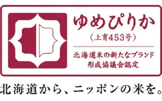 （無洗米６００ｇ）【１０ヶ月定期配送】ホクレンゆめぴりか