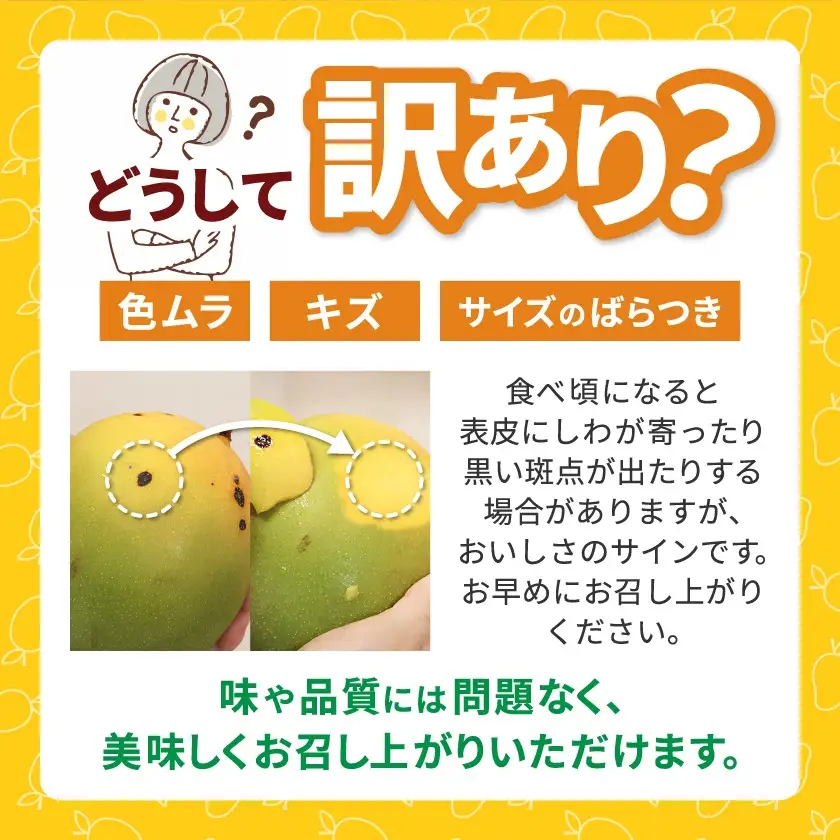 【2026年8月中旬から順次発送・訳あり】今帰仁産の幻のキーツマンゴー1kg(1～2玉)【配送不可地域：離島】【4014741】