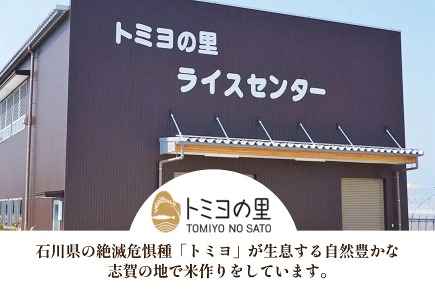米 令和7年 ゆめみづほ 10kg 精米