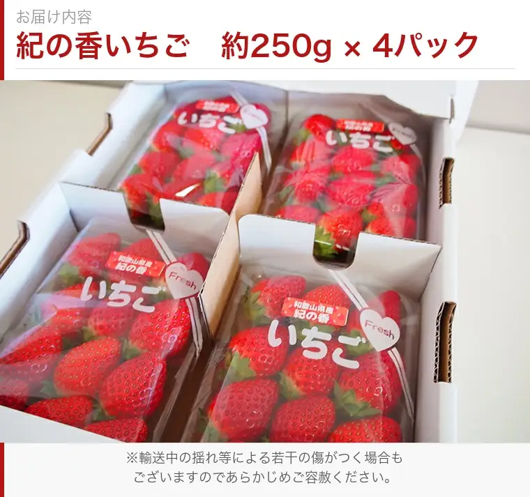 【来シーズン先行予約】紀州和歌山ブランドいちご「紀の香」約250g×4P※2027年1月中旬～2027年3月中旬頃順次発送（お届け日指定不可）【uot868】