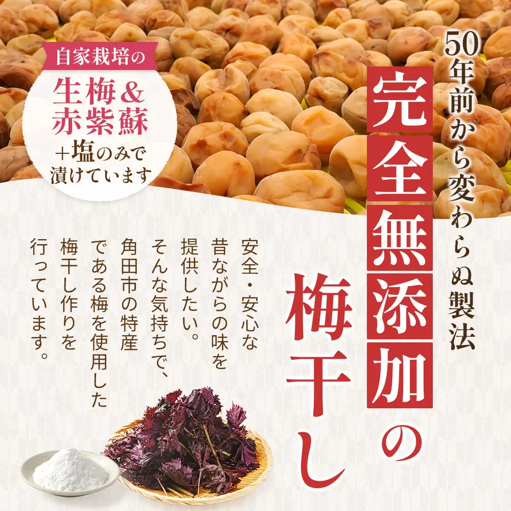 【先行予約】＜訳あり＞宮城県角田産 無添加 まごころ手作り梅干し1.6kg（800g×2）【10月上旬以降順次発送】｜梅干し すっぱい 訳あり