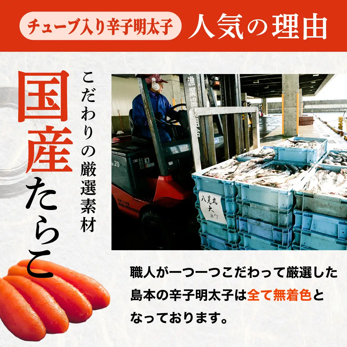  【博多辛子明太子の島本】希少国産卵・チューブ入り辛子明太子80g×2種（オリジナル・昆布漬け）