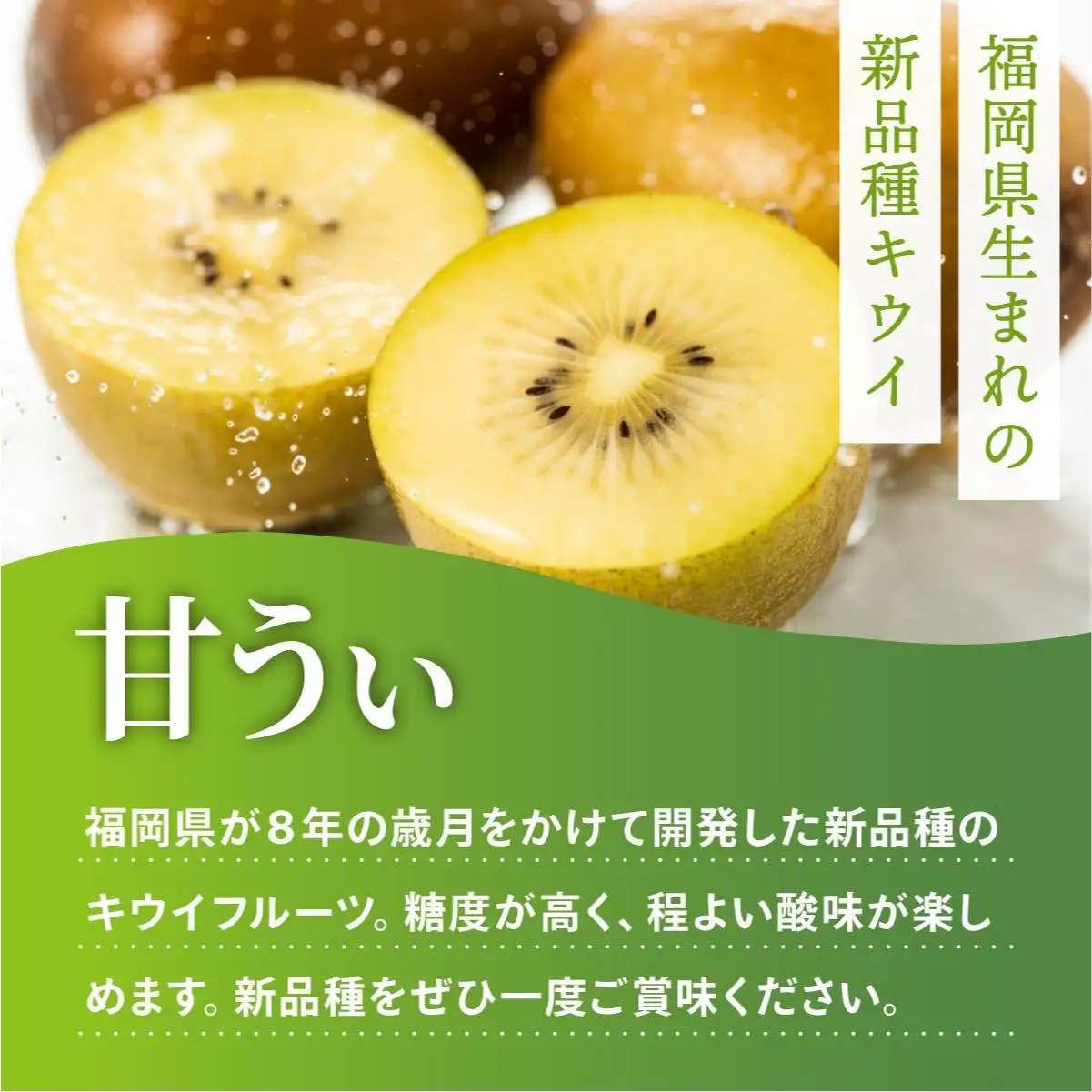 【先行予約】希少 キウイ 甘うぃ 約3kg（2026年11月以降発送）