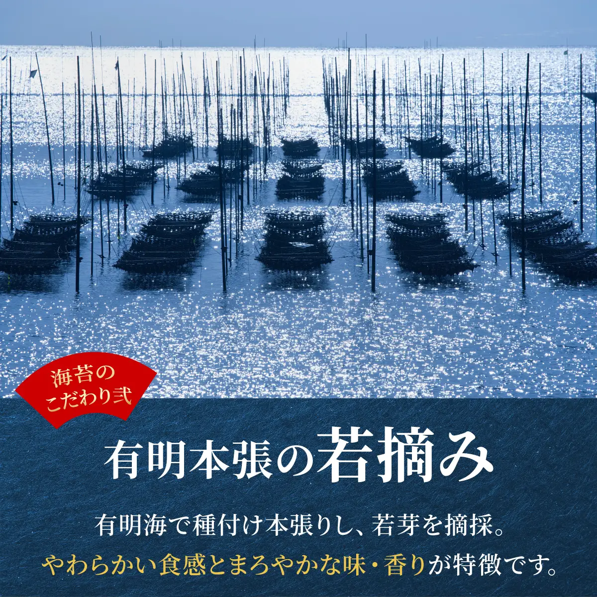  ＜定期便・全6回＞【訳あり】福岡有明のり 焼き海苔 20g×6袋