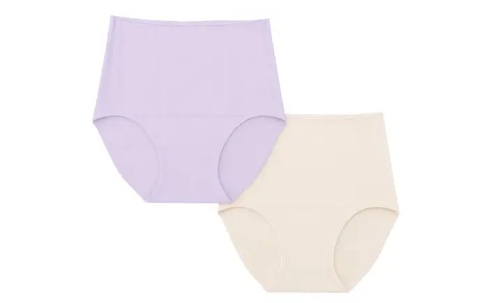 さらっと備パンツ 10セット 【レディース用 サイズ：Ｌ】 防災 災害 防災グッズ ショーツ 岐阜市 /ビック宮田[ANEA014]