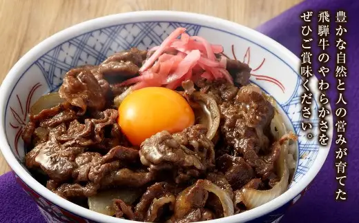 飛騨牛 切り落とし 1kg （ A5 ・ A4等級 ） 
